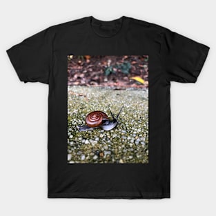 Baby Snail T-Shirt